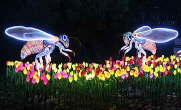 Now On: Chinese Lantern Festival at Budapest Zoo Now On: Chinese Lantern Festival at Budapest Zoo