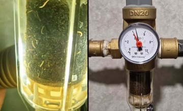 Contamination Strikes Hungarian Drinking Water - Worms in Pilis Water Storage Basins?