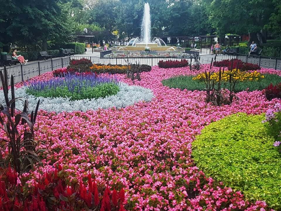 Margit Quarter in Budapest Named One of World's Coolest Neighbourhoods by Time Out