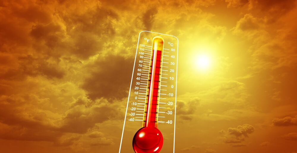 Summer Power: Protect the Vulnerable in the Heatwave