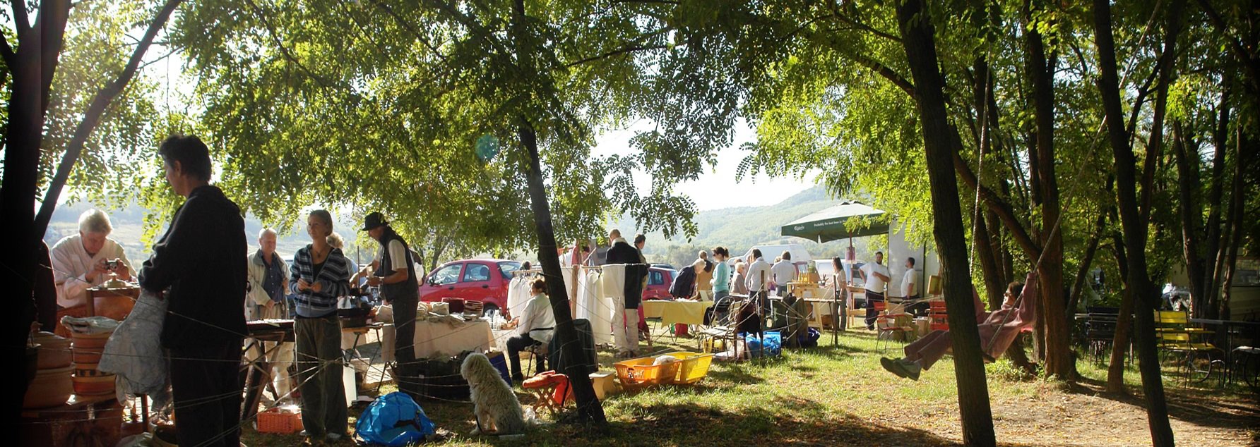 Insider's Guide: Best Markets Around Balaton