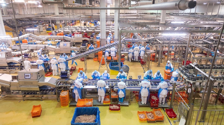 New Survey: Why Hungarians Oppose Foreign Ownership in Key Industries