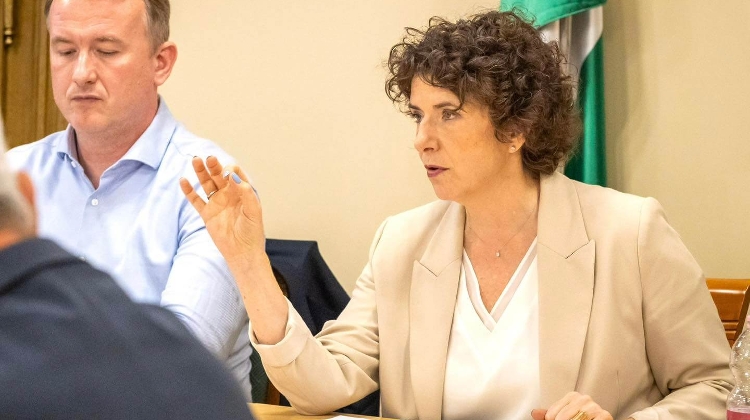 'They're Trying to Silence Me', Says Leader of Hungarian DK Party