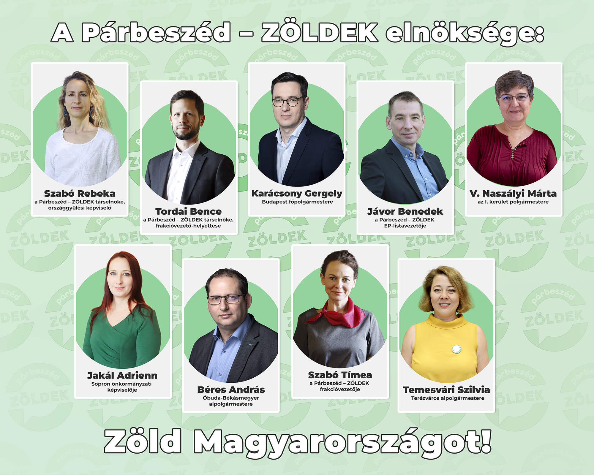 Why Dialogue - Greens Will Not Run in Hungary's General Election