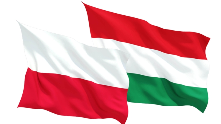 Why Budapest's Chain Bridge Displayed Colours of 'Friendship Day' on 23 March Why Budapest's Chain Bridge Displayed Colours of 'Friendship Day' on 23 March