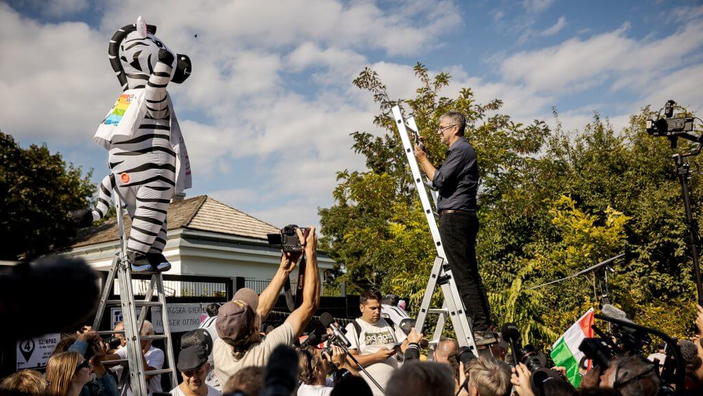 Update: Veteran MP Hadházy Quits Politics, Leaves Lasting Zebra Campaign Legacy