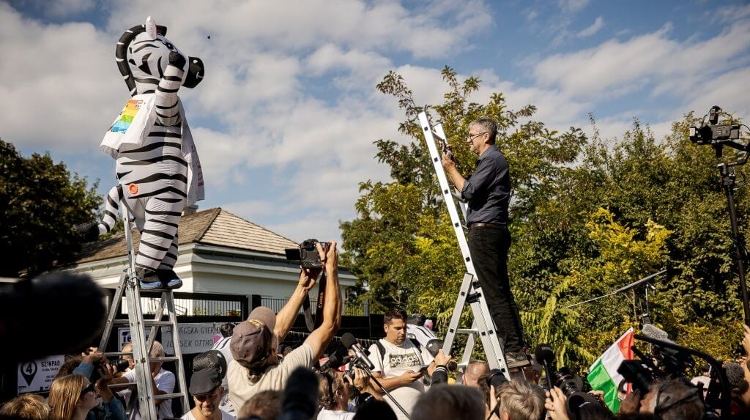 Update: Veteran MP Hadházy Quits Politics, Leaves Lasting Zebra Campaign Legacy