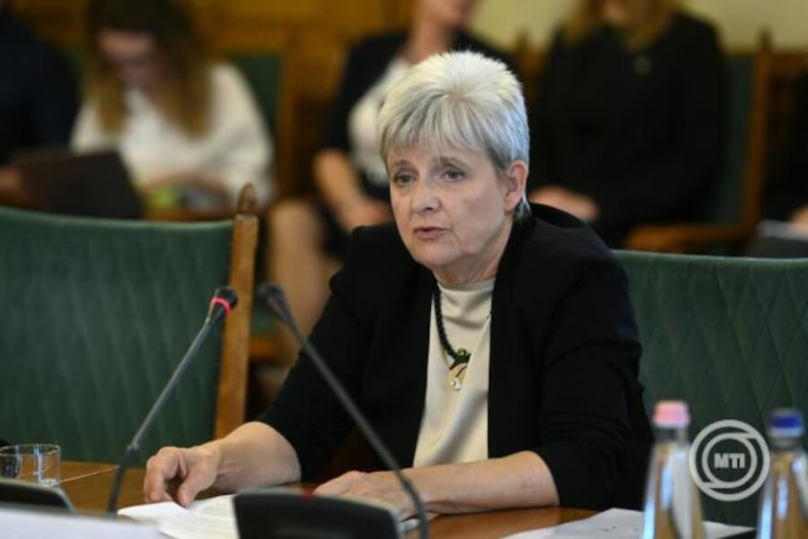 Role of Public School Operator in Hungary to be Reviewed