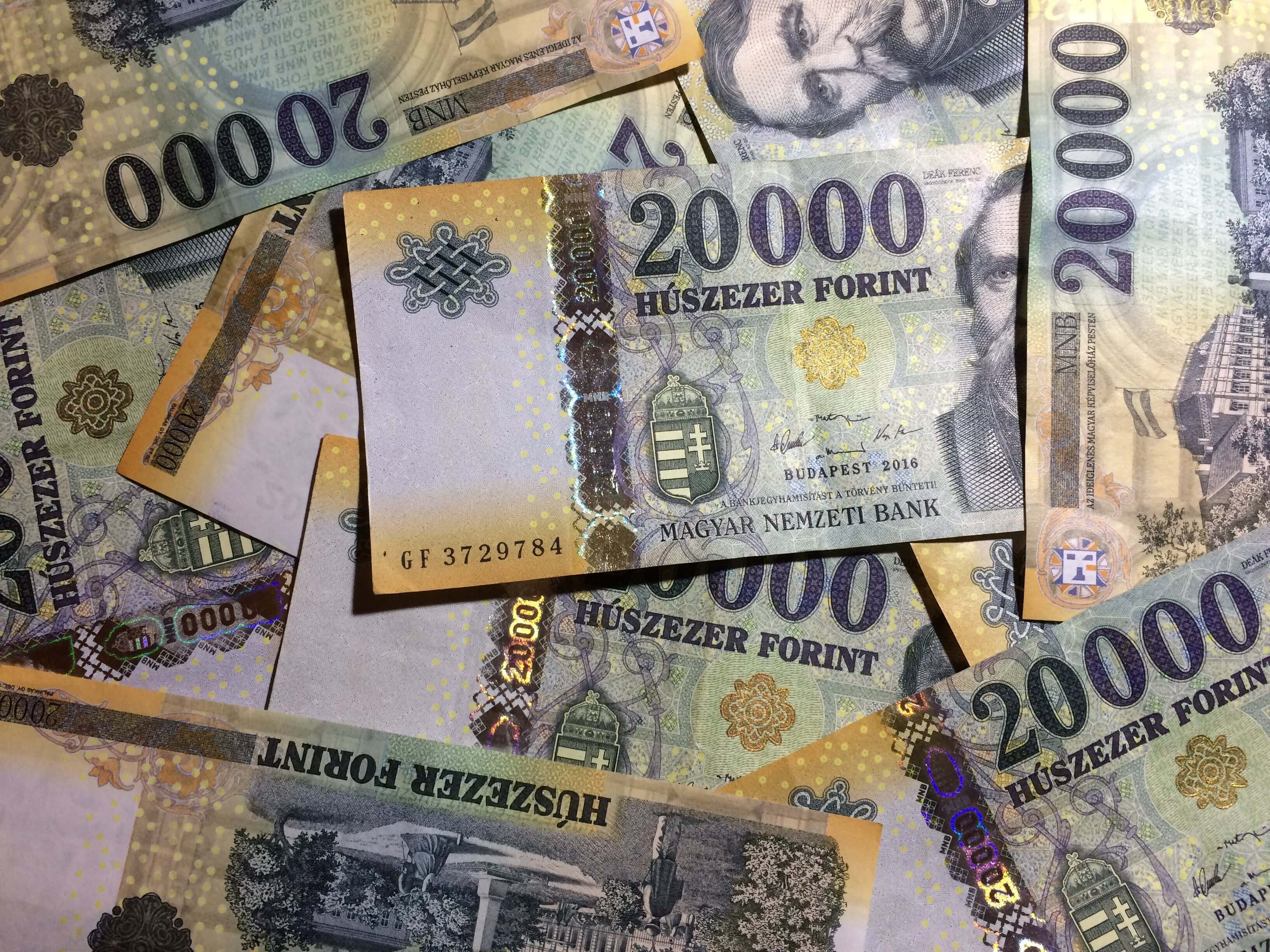 Tisza Party Donations & Profit: Who Contributed & How Much?
