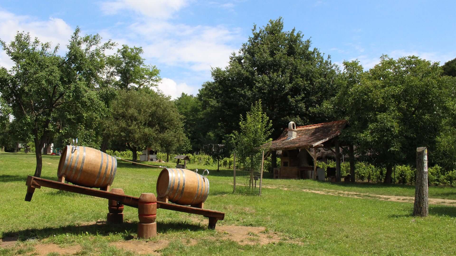 Open Farm Days: 'Taste Your Way Across the Hungarian Countryside'