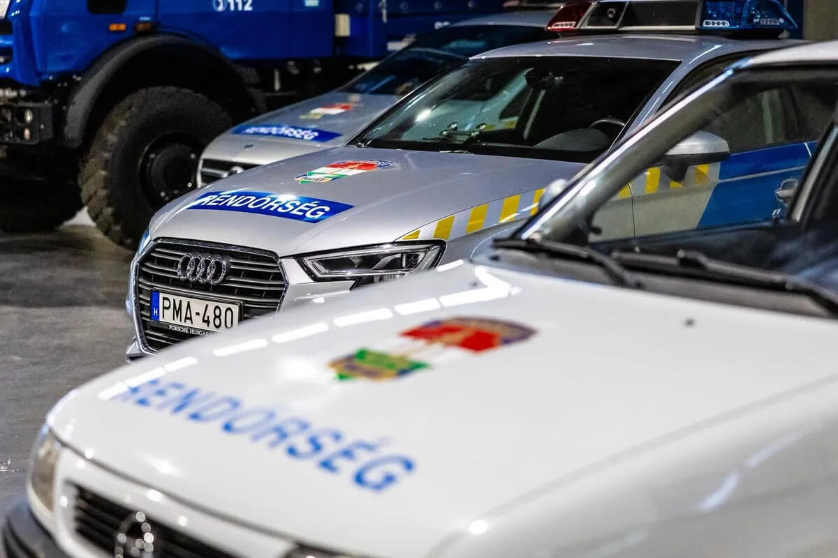 Balaton Car Chase: French Thief Shot with Stun Gun After Punching Cop