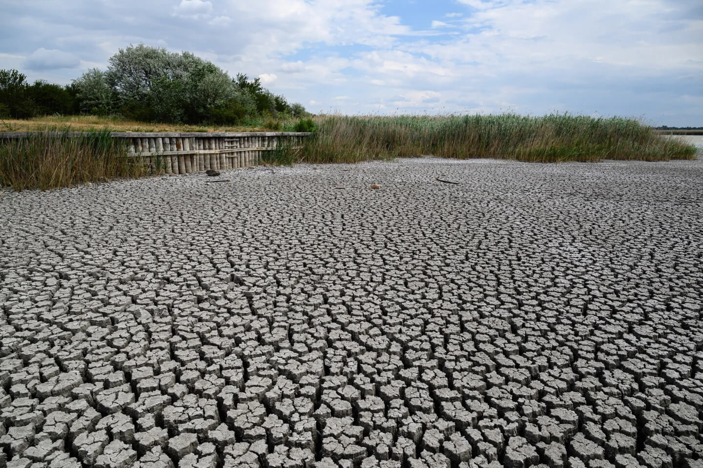 Long-Term Water Crisis Warning in Hungary - 'Desert-Like Conditions'?