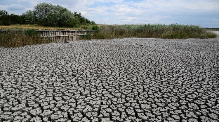 Long-Term Water Crisis Warning in Hungary - 'Desert-Like Conditions'?