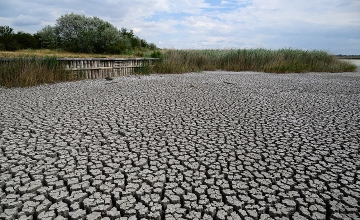 Long-Term Water Crisis Warning in Hungary - 'Desert-Like Conditions'?