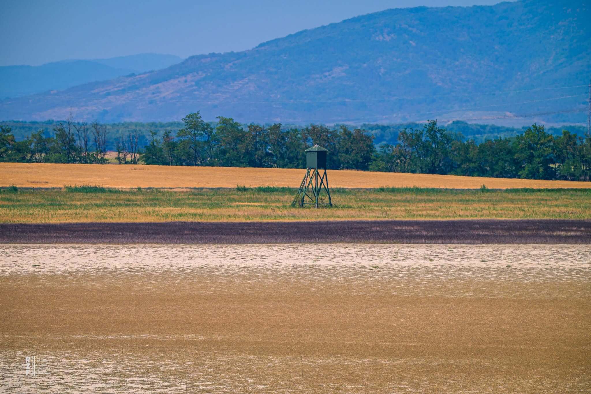 Heat & Drought Put This July Into Hungary's Record Books