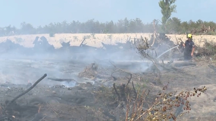 Watch: Multiple Counties in Hungary Battling Heatwave Fires