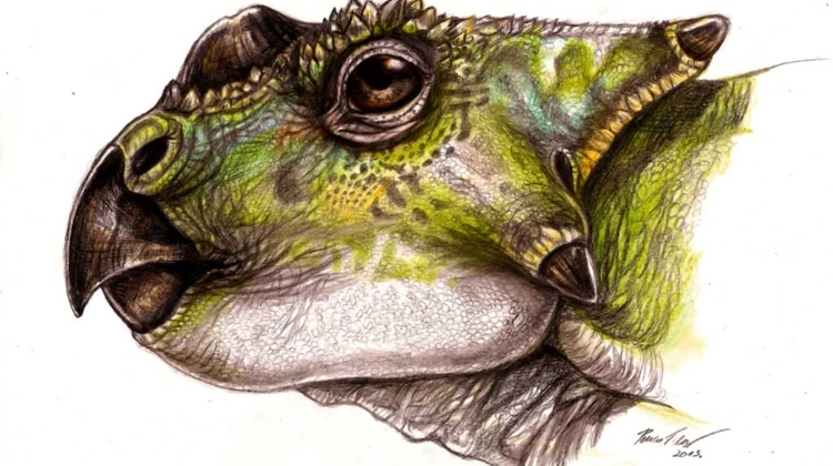 Surprising Dinosaur Discovery in Hungary