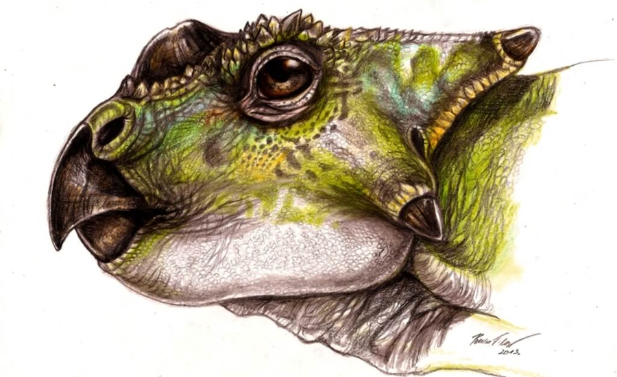 Surprising Dinosaur Discovery in Hungary