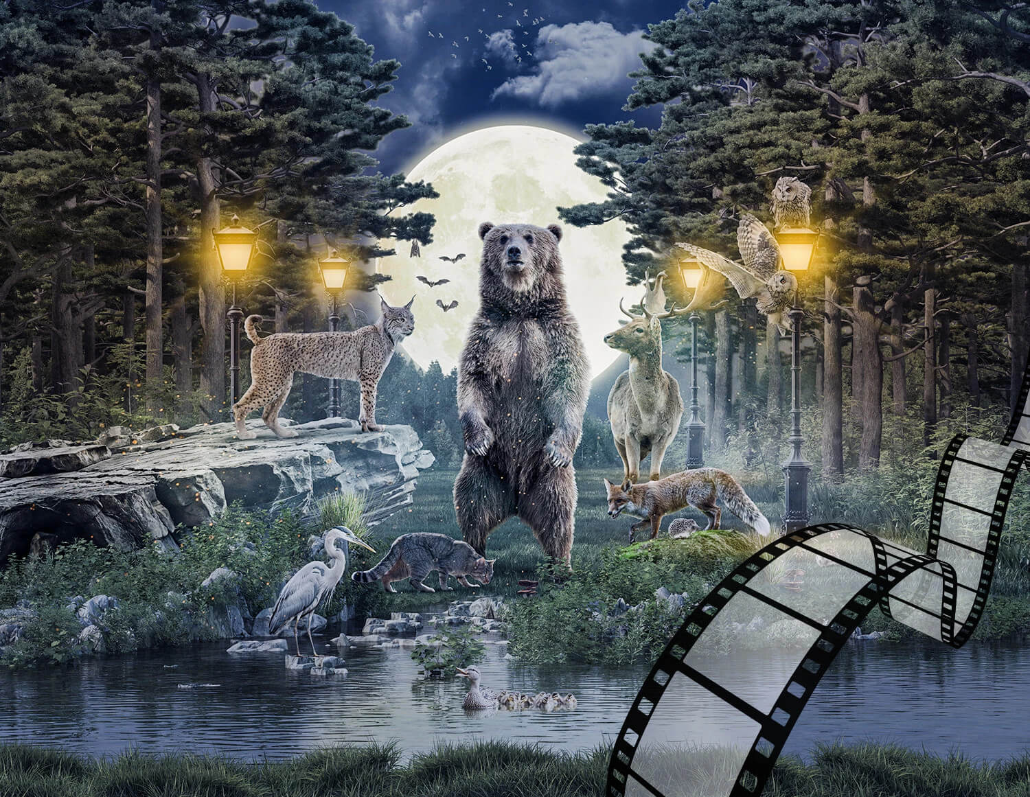 Budapest Zoo Hosts Night of the Zoos with Special Evening Programs This Friday