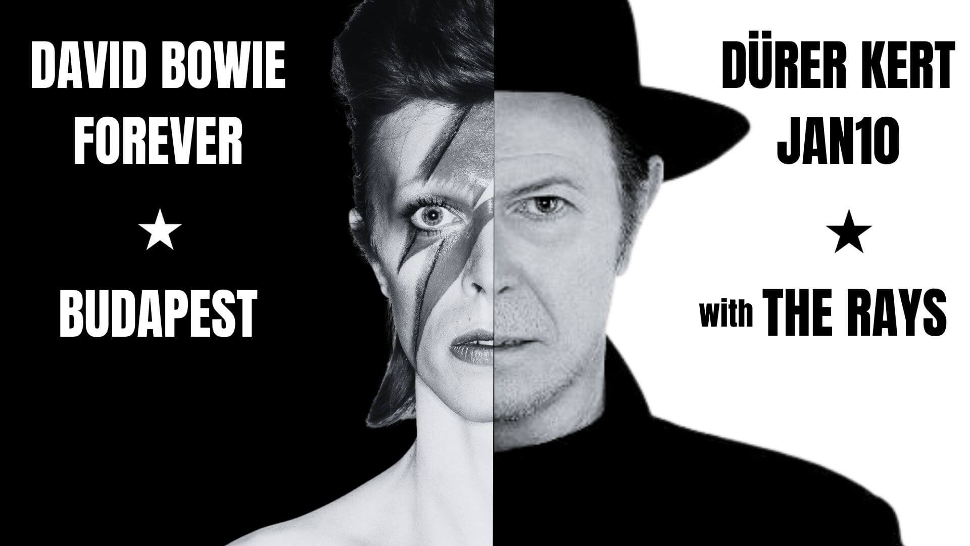 The Rays - a Tribute to Bowie, Dürer Kert Budapest, 10 January