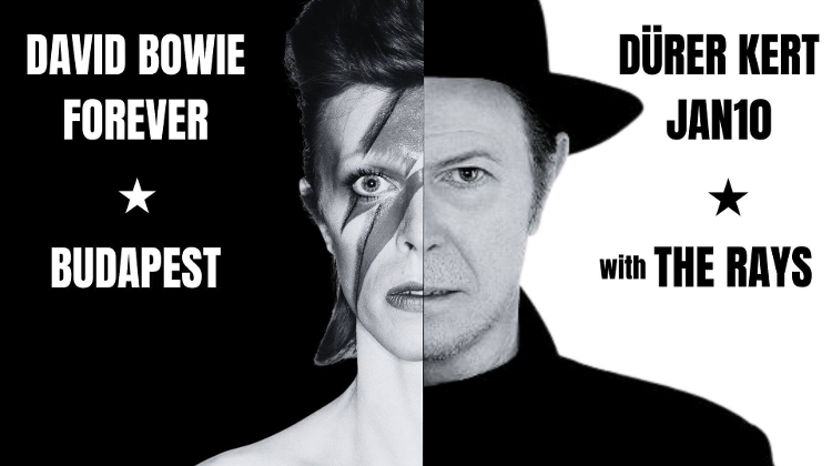 The Rays - a Tribute to Bowie, Dürer Kert Budapest, 10 January