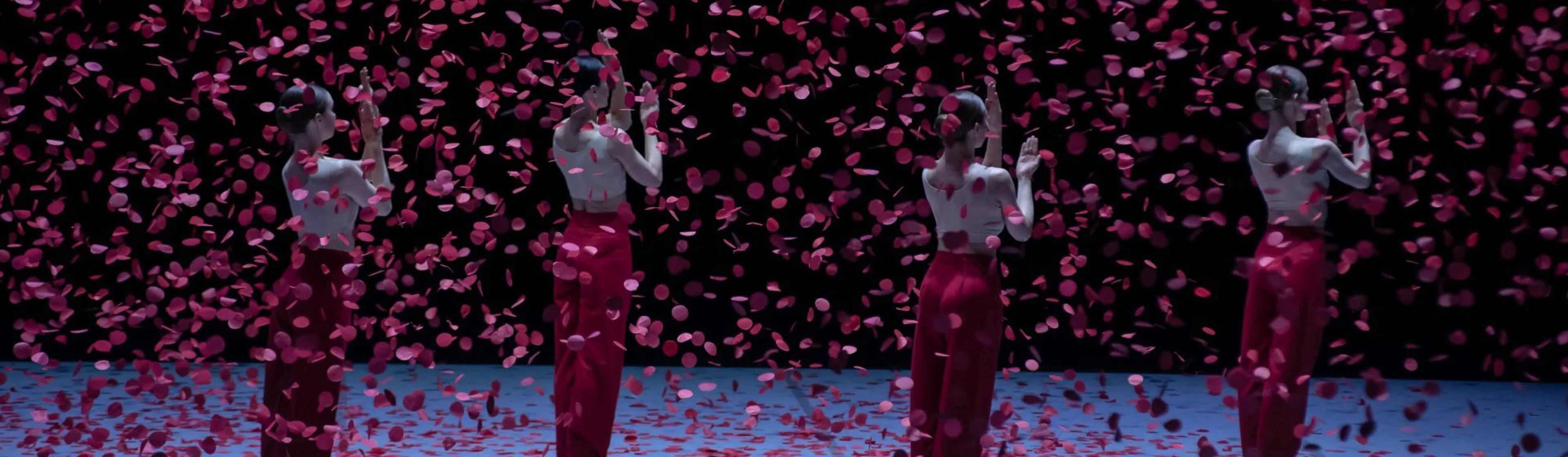 Latvian National Opera & Ballet: Nijinsky, Festival Theatre Budapest, 3 April