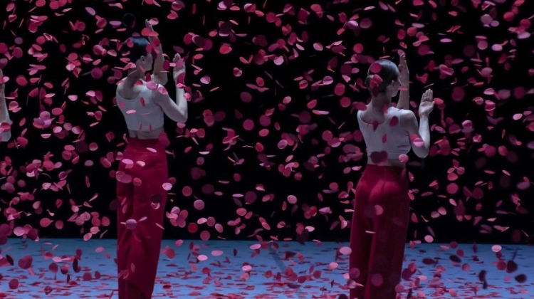 Latvian National Opera & Ballet: Nijinsky, Festival Theatre Budapest, 3 April