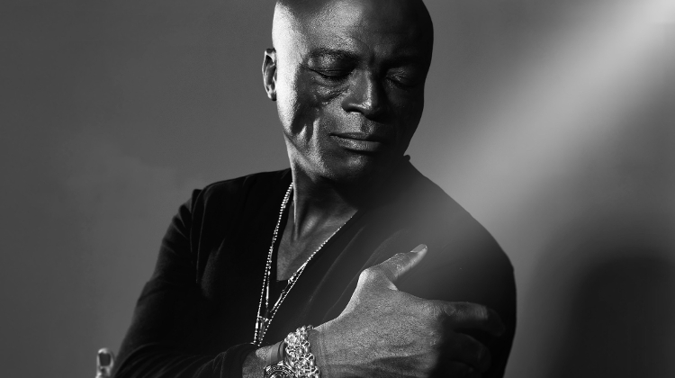 Seal Returns to Budapest After 15 Years