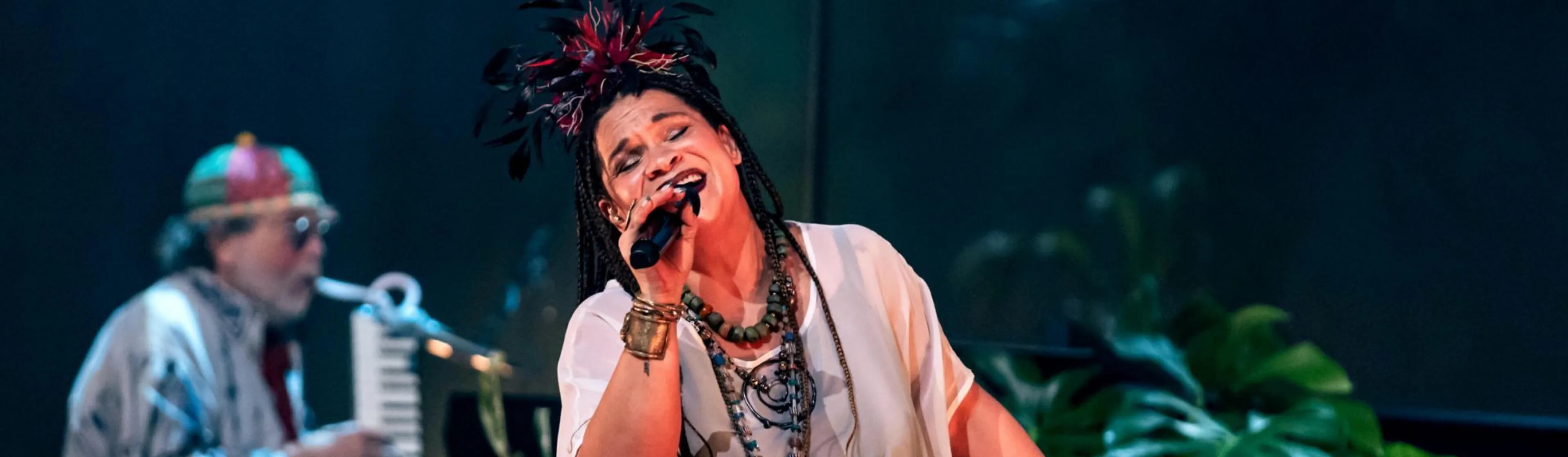 Sena DagaDub – Special guest: Gábor Presser, National Concert Hall Budapest, 30 March