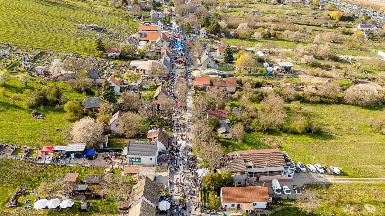 Watch: Xplore Hungary Etyek-Buda Wine Region