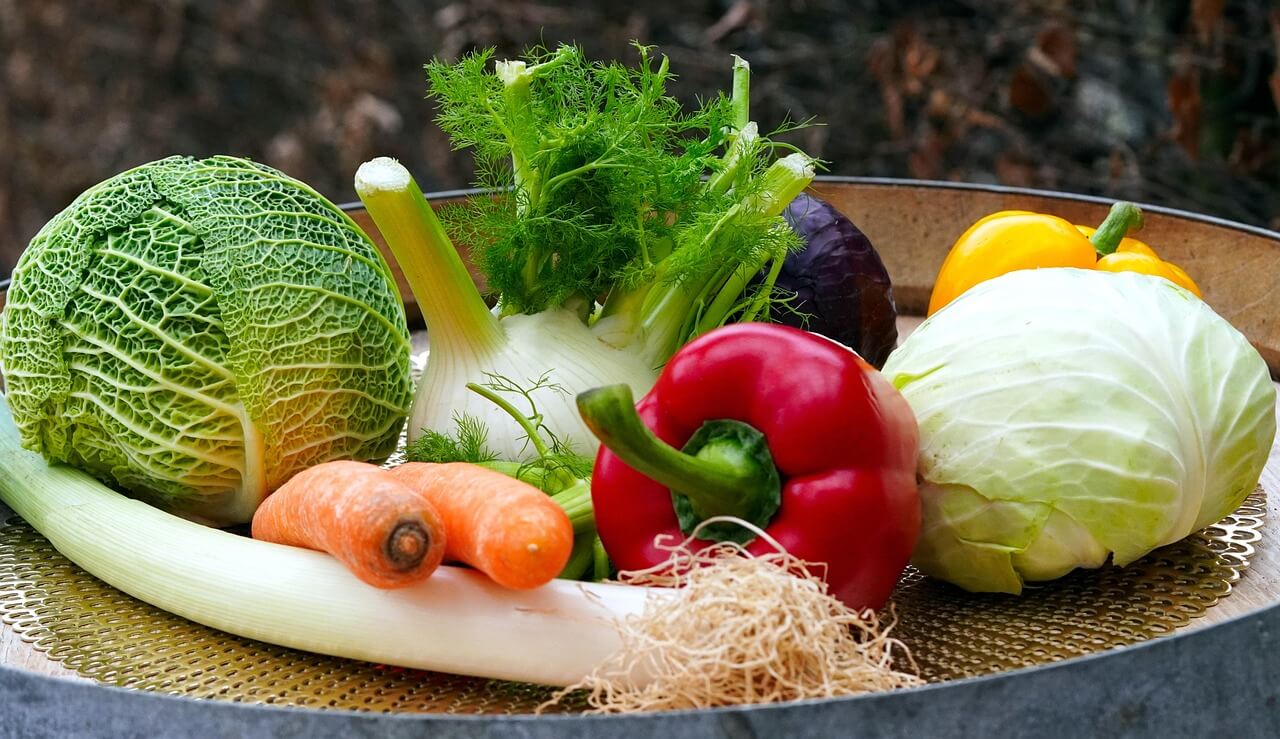 New EU Gene-Edited Food Rules Spark Hungarian NGO Opposition