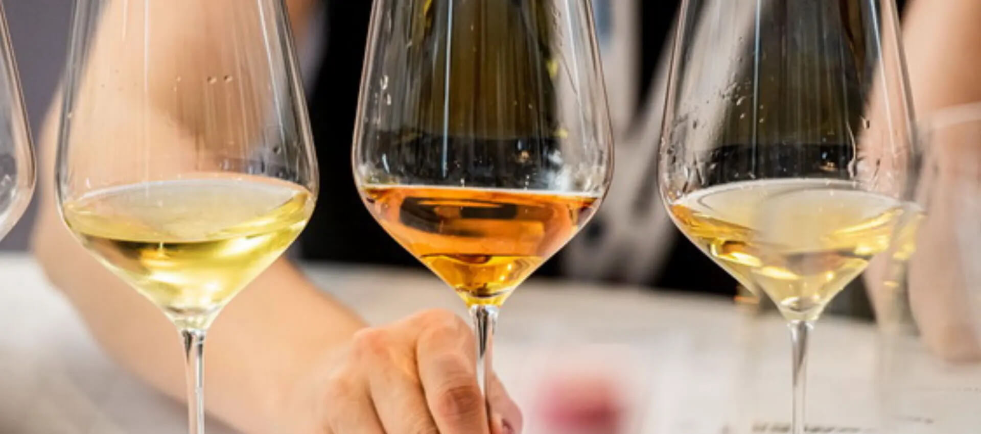 Winelovers 100 Grand Tasting: A Celebration of Hungary’s Top Wines