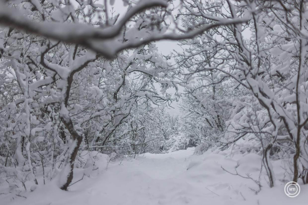 Heavy Snow in Hungary: Shocking Cold Hits Some Areas, Authorities Warn Drivers