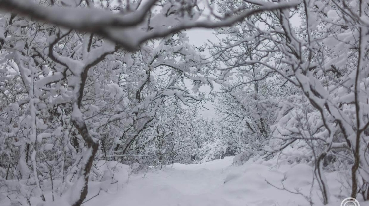 Heavy Snow in Hungary: Shocking Cold Hits Some Areas, Authorities Warn Drivers