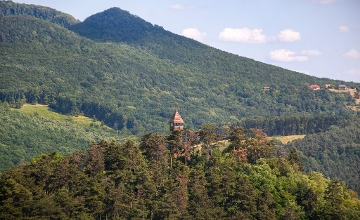 Top 10 Lookout Towers in Hungary