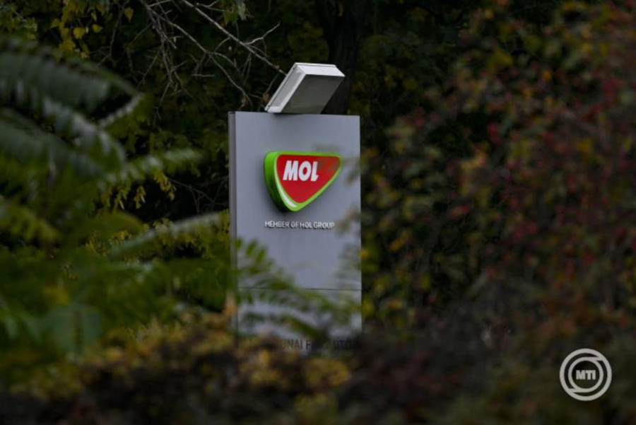 Deliveries of Crude Oil to Hungary Resume Through Druzhba Pipeline