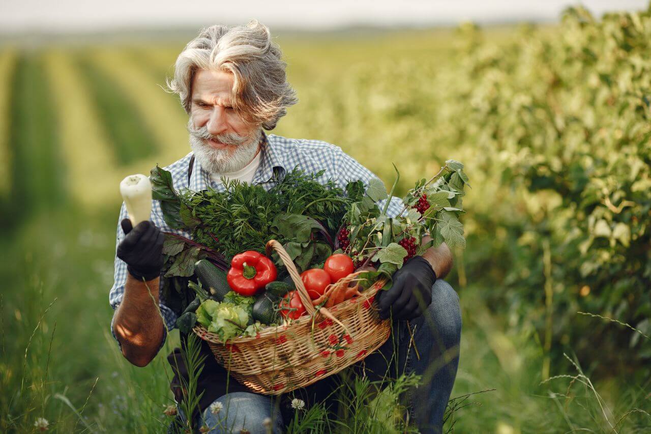 Organic Product Sales in Hungary Growing Significantly