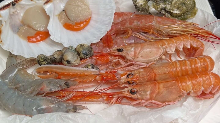 La Pescheria Budapest Weekend Offer