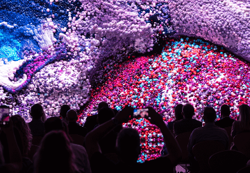 Special Effects Hungary Acquires Stake in International ESG Consulting Agency