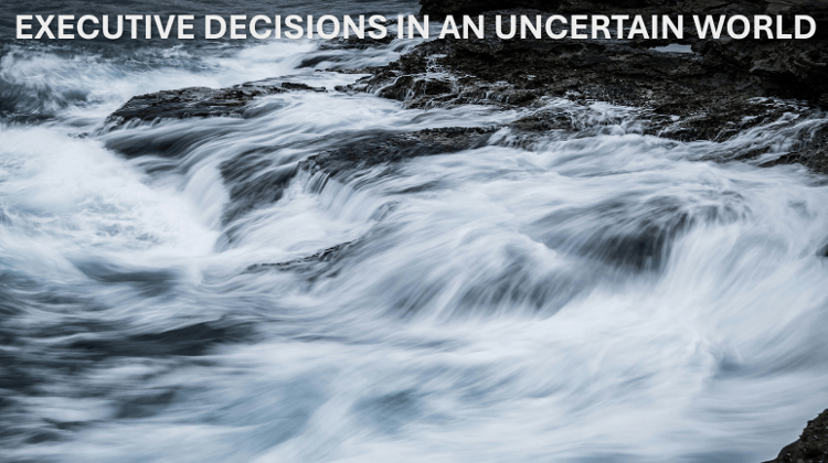 How Can Hr Support Executive Decisions? – Insights from a Hungarian HR Consultant