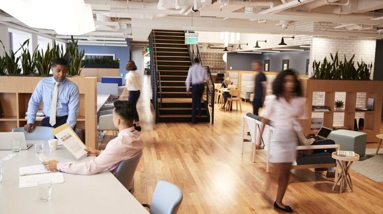 B +N Hungary Insight: Workplace Strategy in the Age of AI