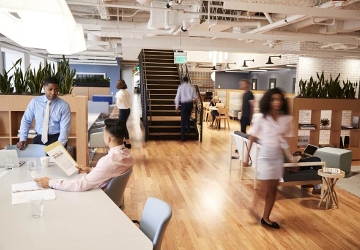 B +N Hungary Insight: Workplace Strategy in the Age of AI