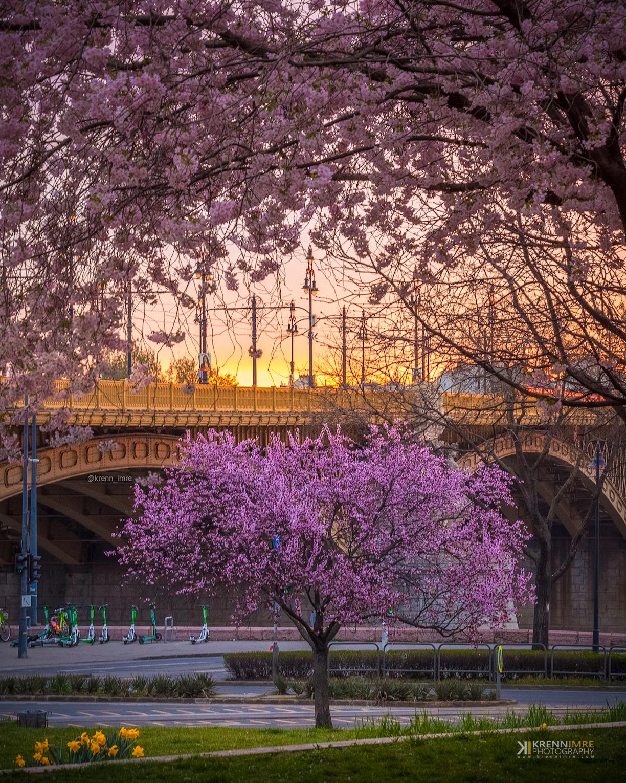 Great Read: Xpat Community E-Magazine, 9 April