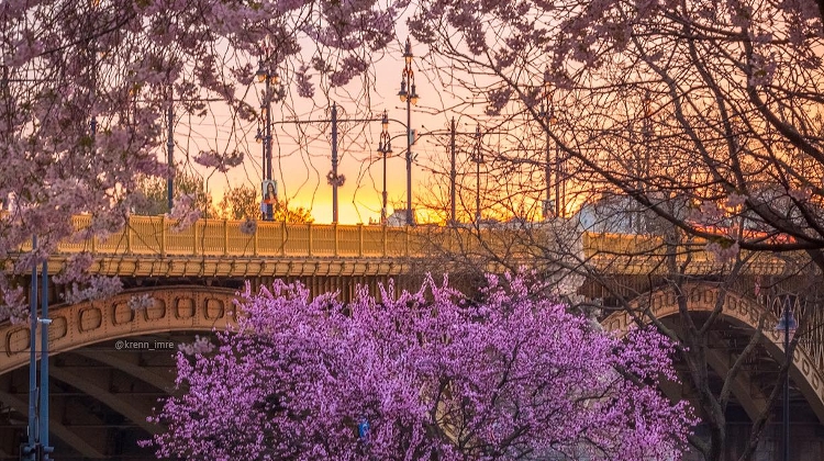 Great Read: Xpat Community E-Magazine, 9 April