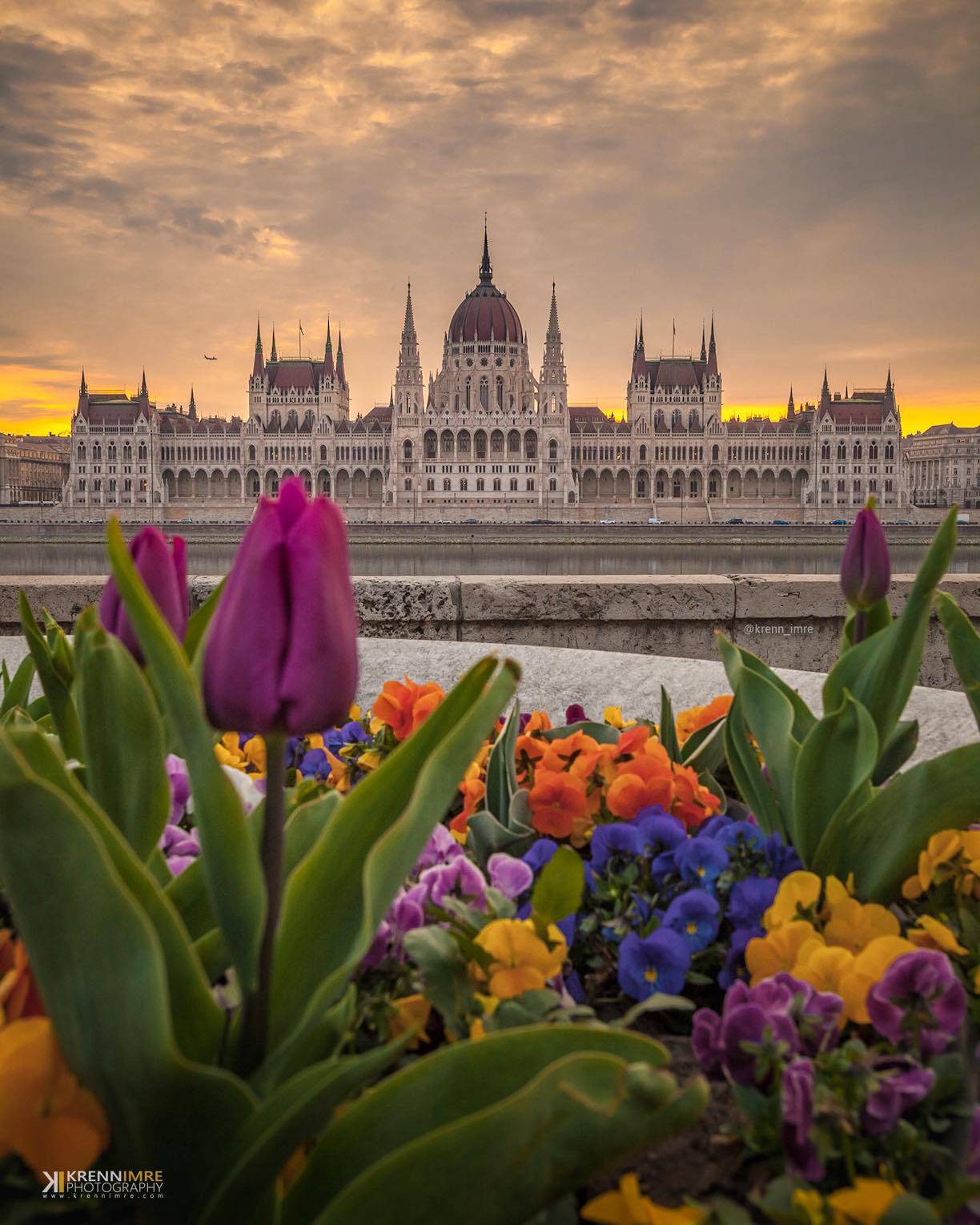 Great Read: Xpat Community E-Magazine, 23 April