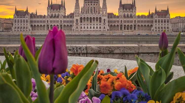 Great Read: Xpat Community E-Magazine, 23 April