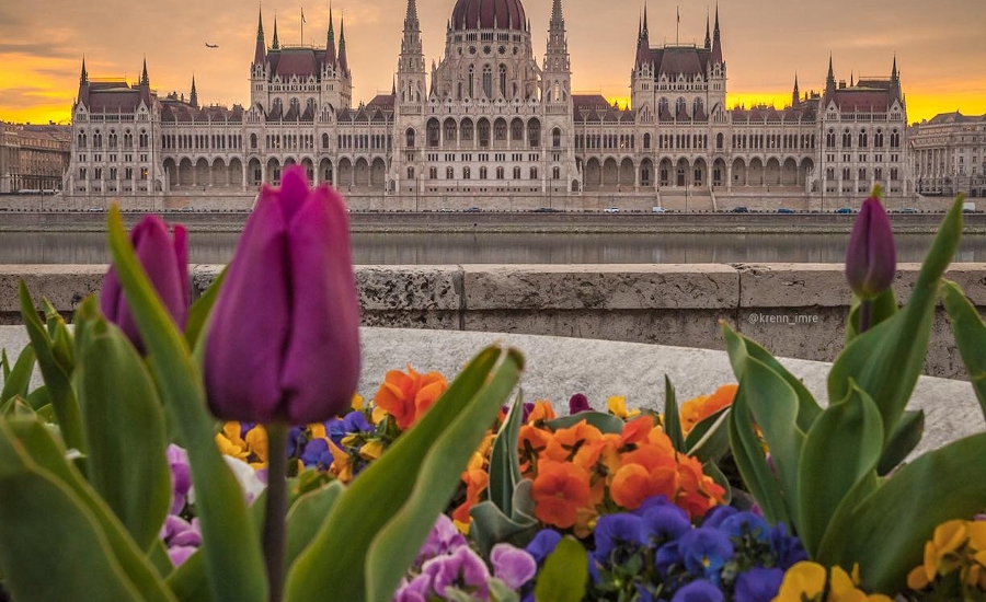 Great Read: Xpat Community E-Magazine, 23 April