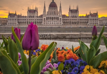 Great Read: Xpat Community E-Magazine, 23 April