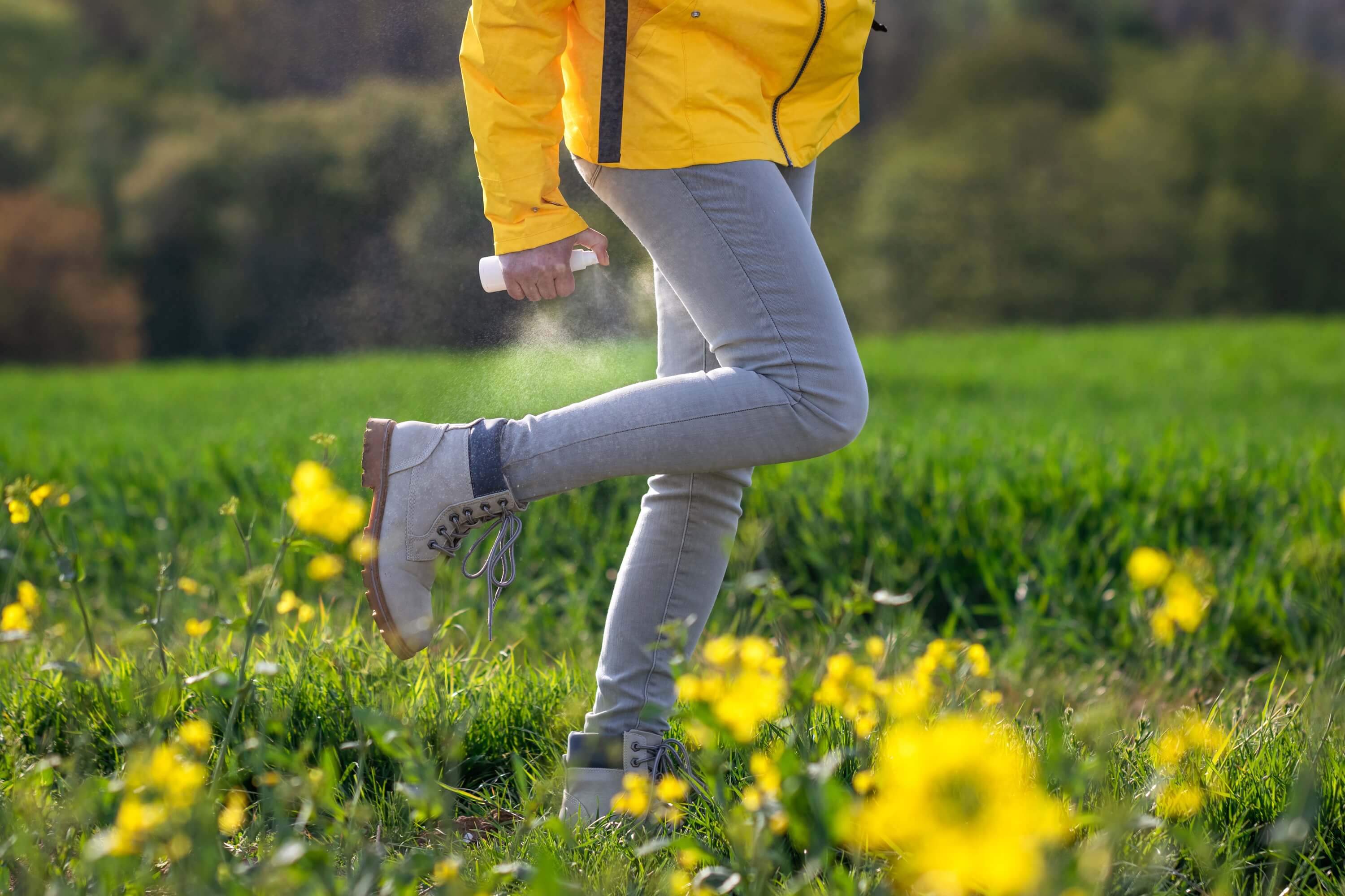 Dr. Rose Private Clinic Budapest Insight: Dealing with Tick Bites in Hungary