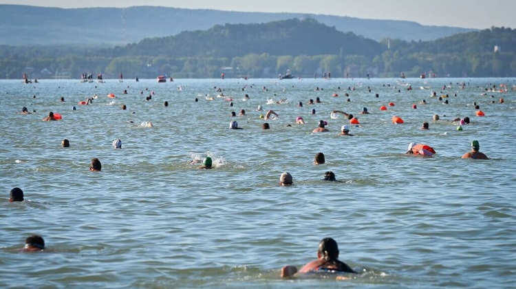 Record Entries Expected for Balaton Cross-Swim ‘26